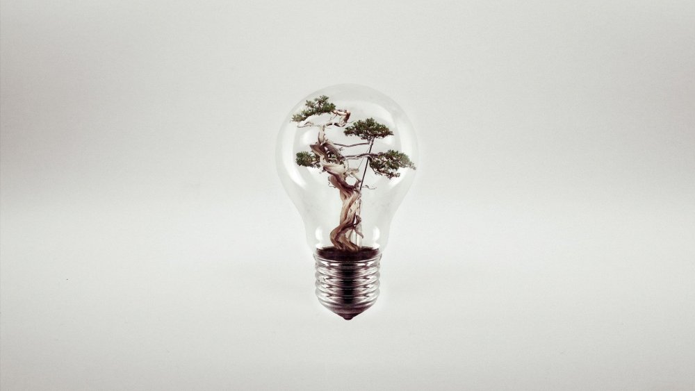 Дерево в лампочке