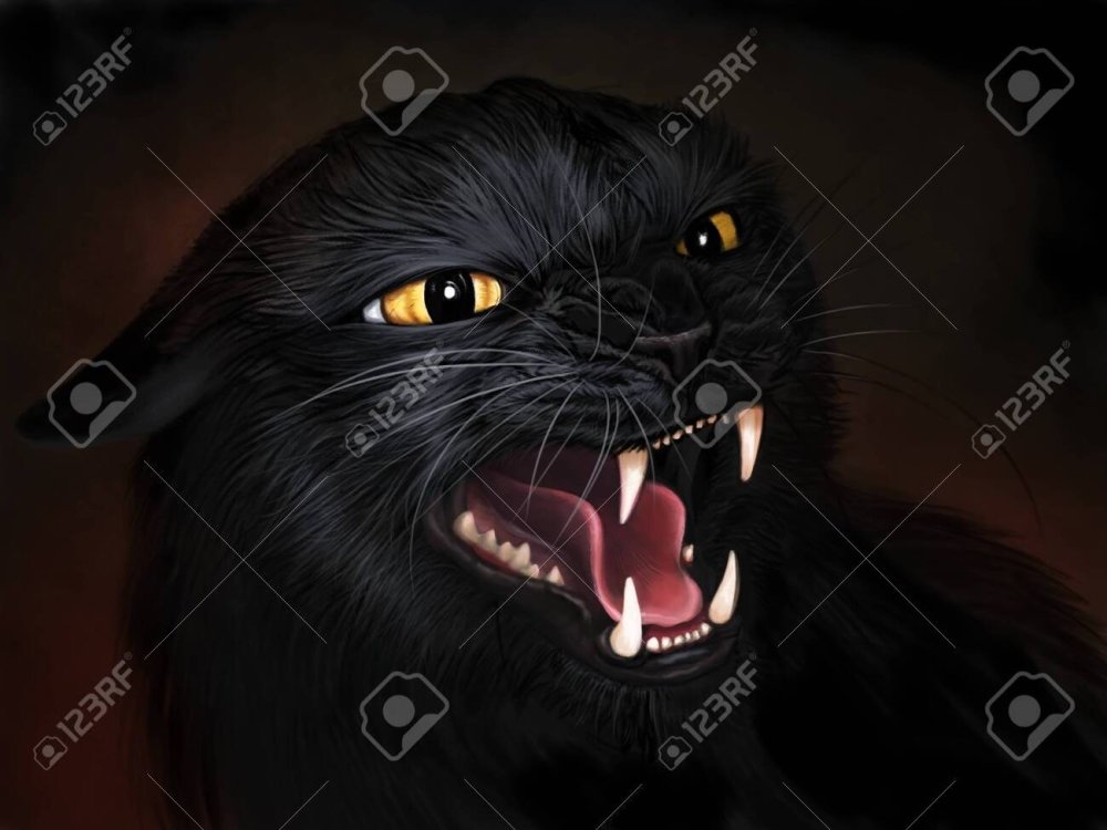 Черный кот шипит