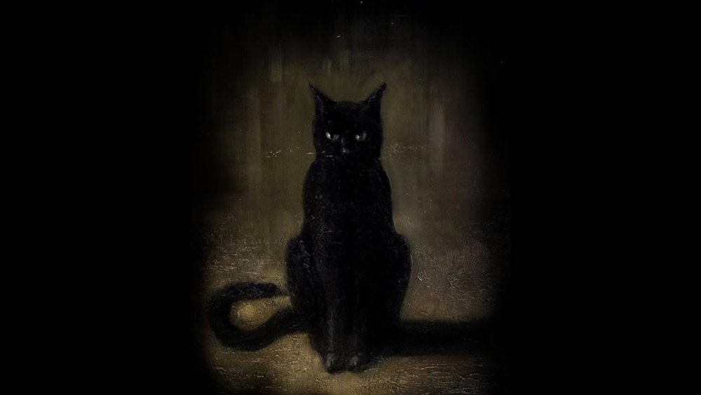 Черная кошка рисунок