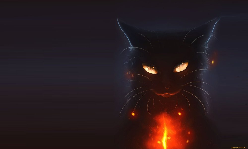 Мистические коты