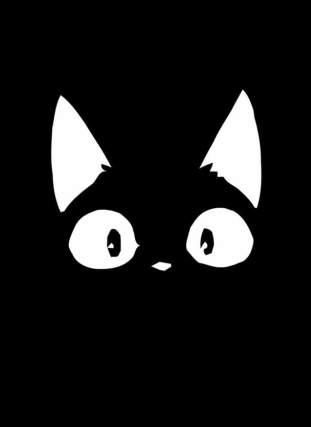 Котенок на черном фоне