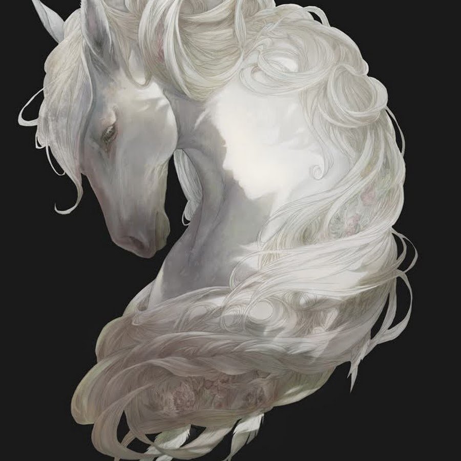 Голова белой лошади