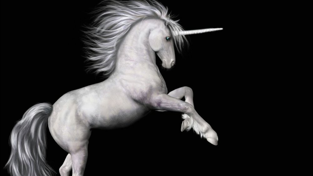 Белый Единорог на черном фоне