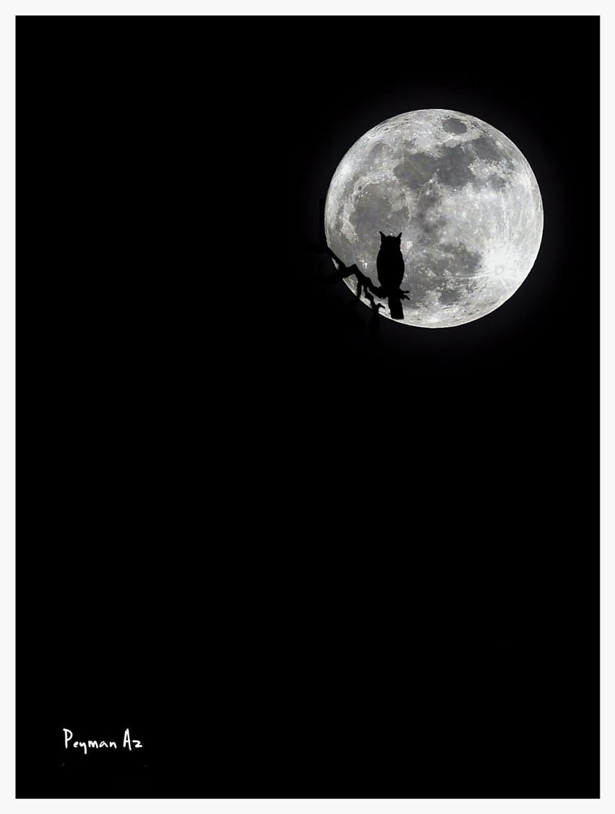 Луна на черном небе