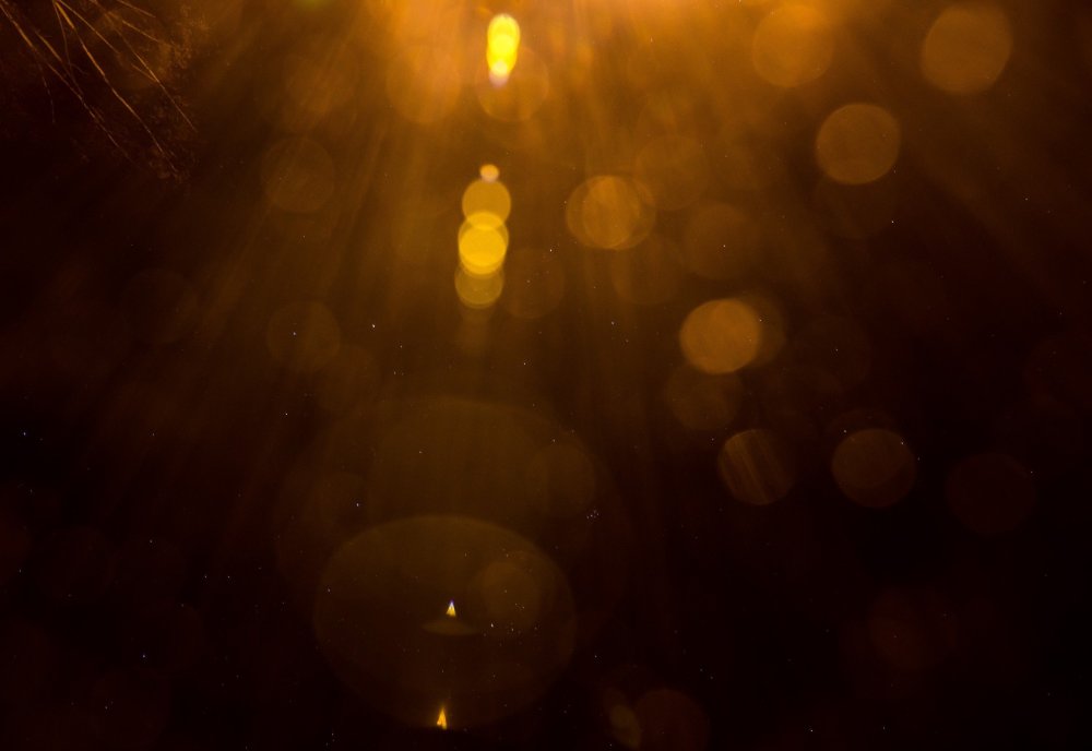 Солнечные блики