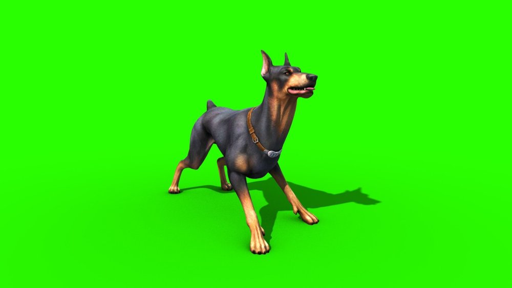 D 3 собака Доберман