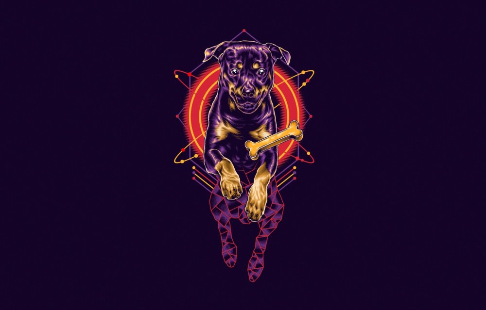 Обои Минимализм собака