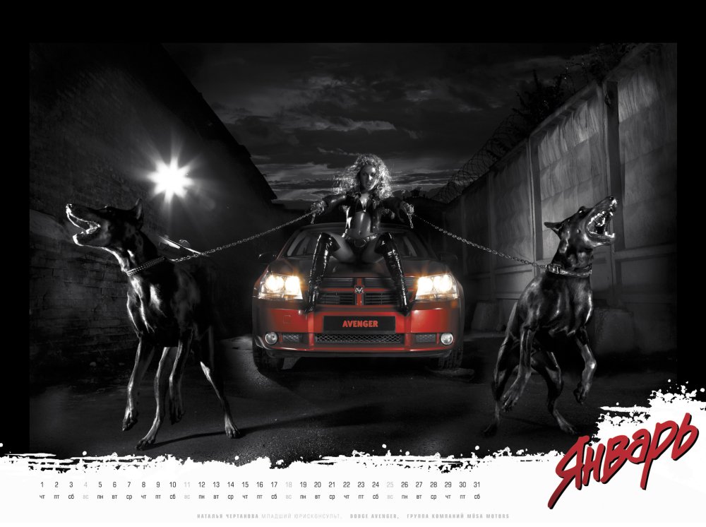 Заставка Доберман с машиной