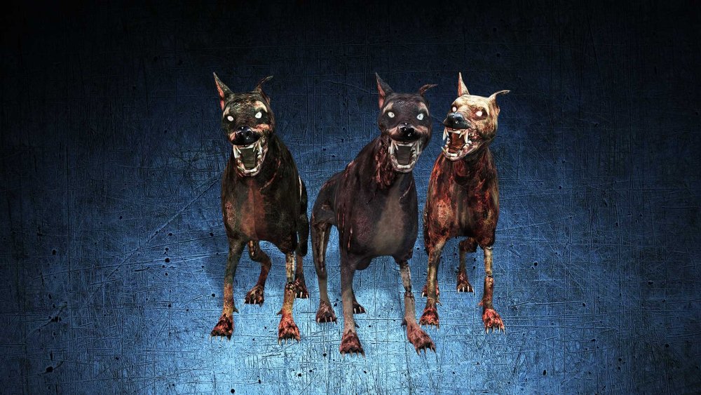 Доберман злой