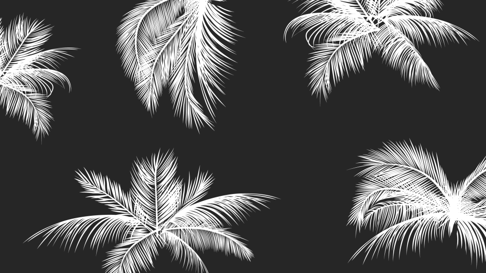 Пальма на темном фоне