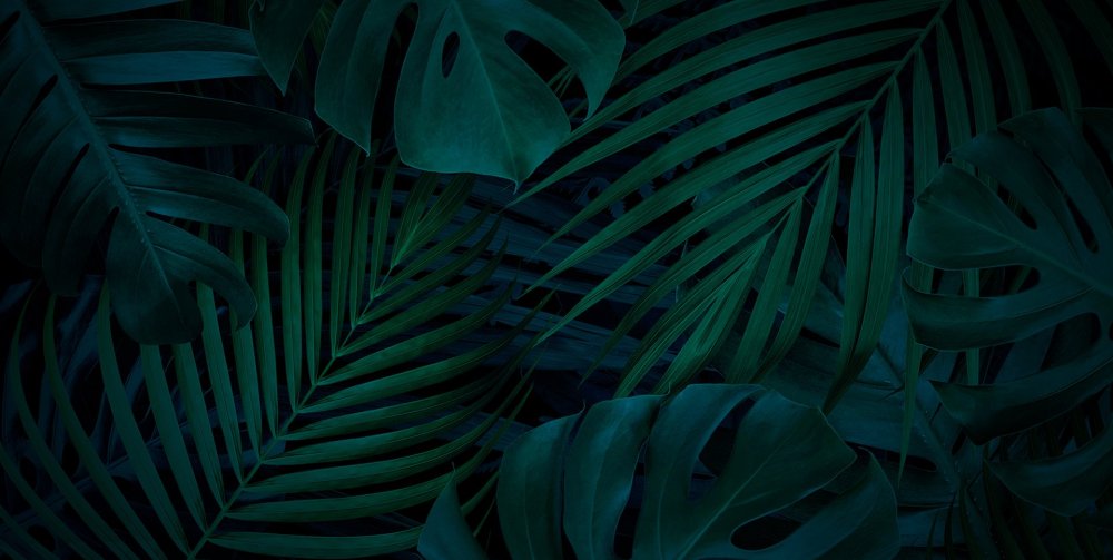 Тропические листья