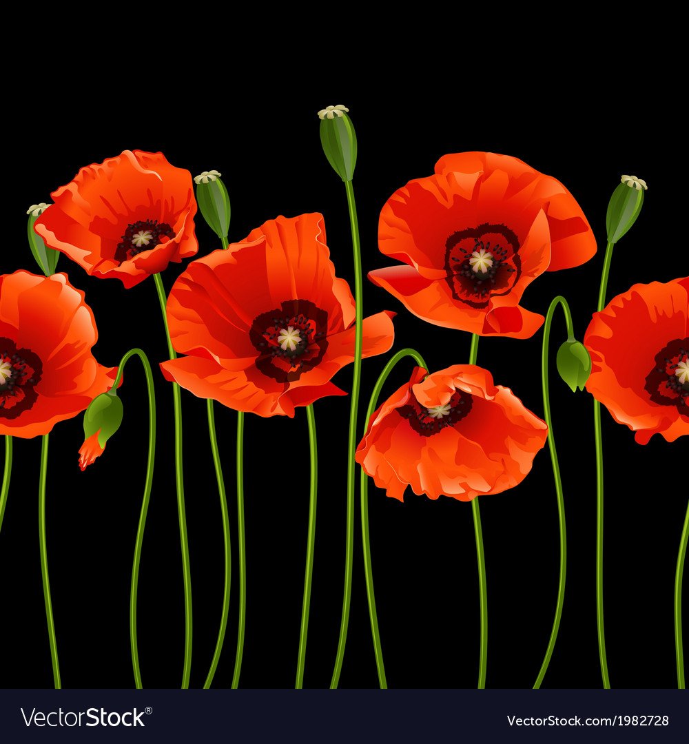 Маки на черном фоне