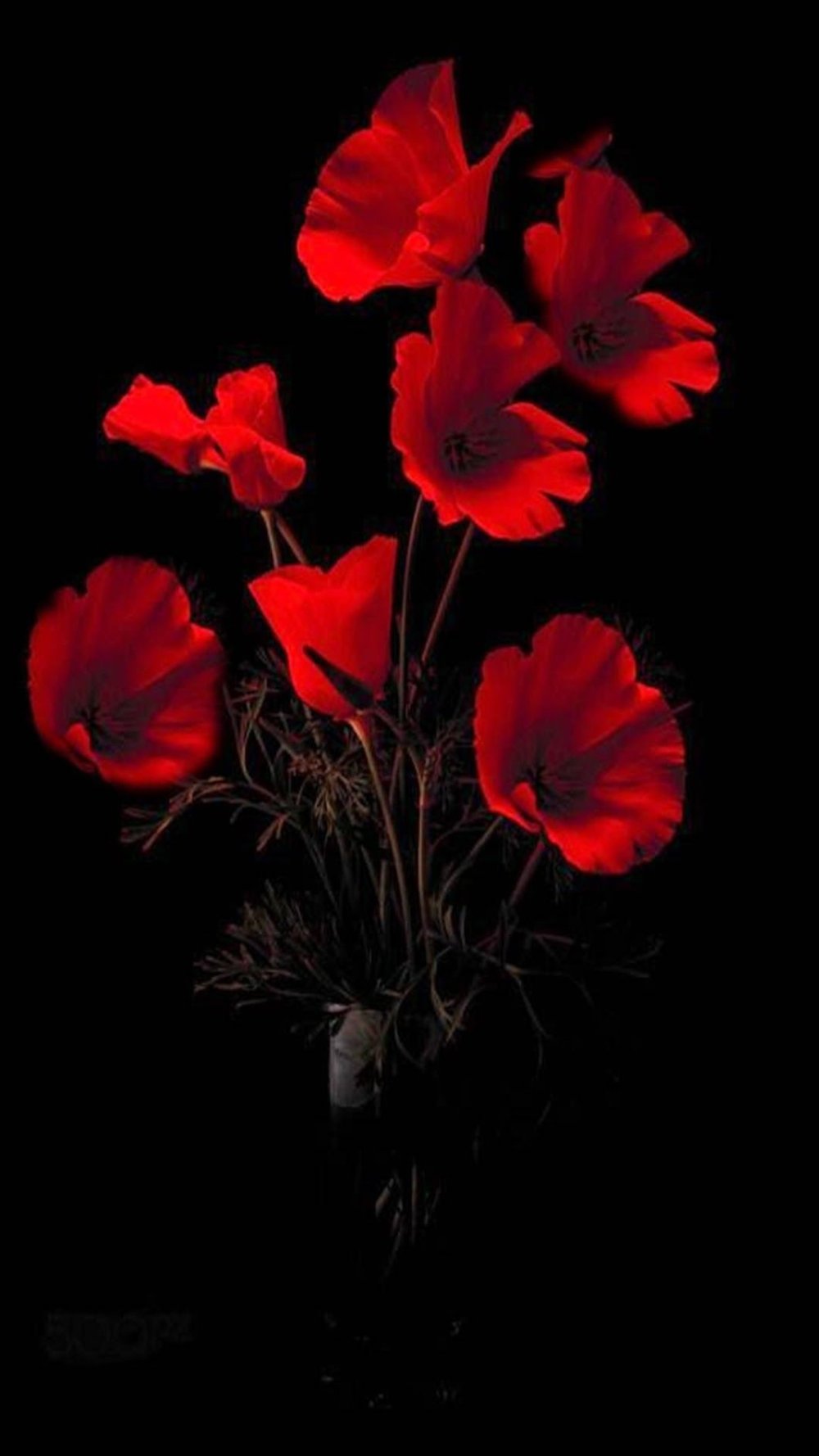 Череп с цветами