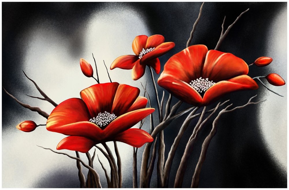 Мак на черном фоне