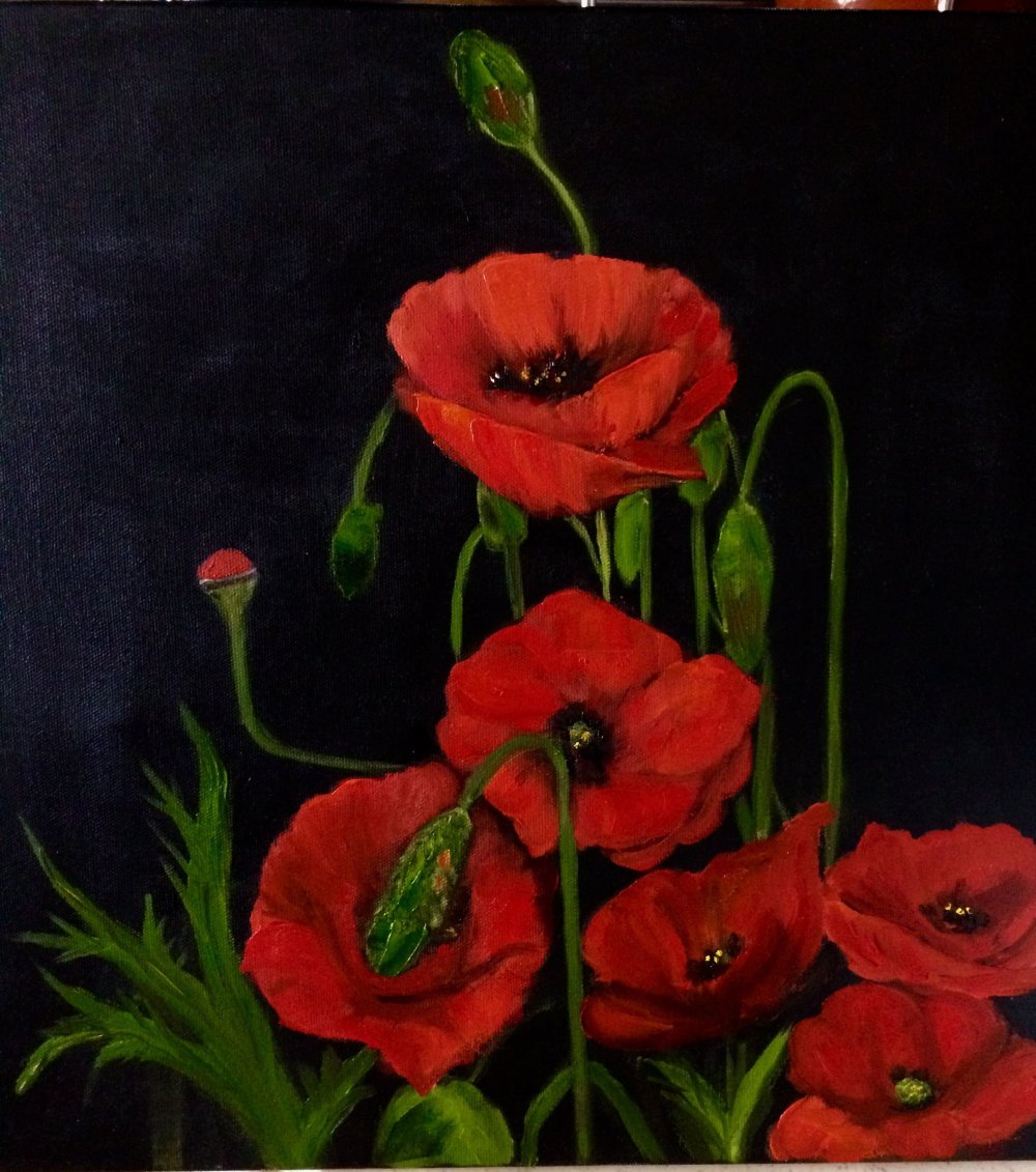 Маки на черном фоне картинки