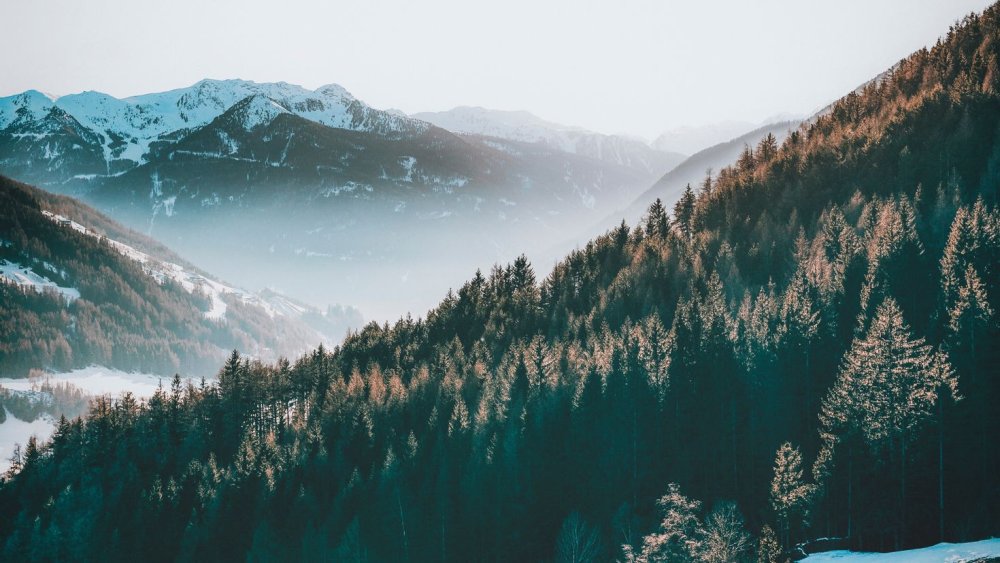 Минимализм природа