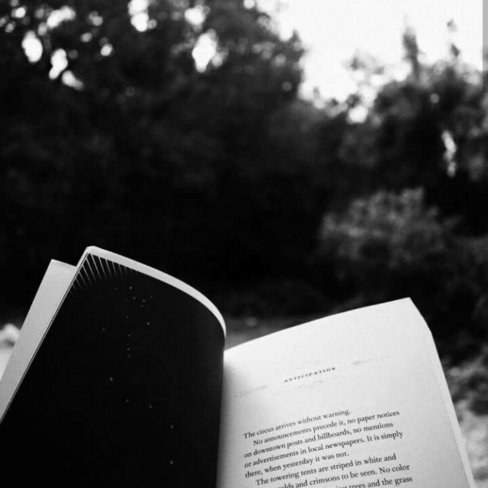 Книжка в руках