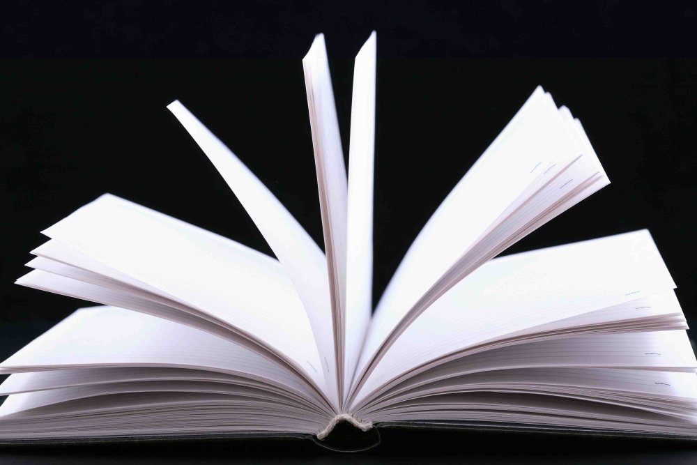 Белая книга