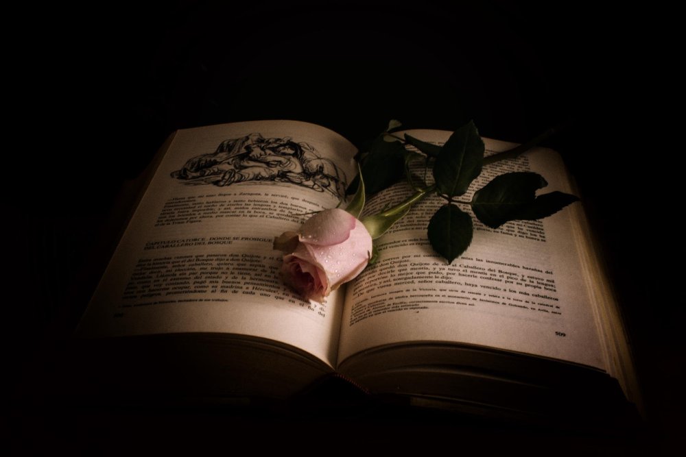 Книга на черном фоне