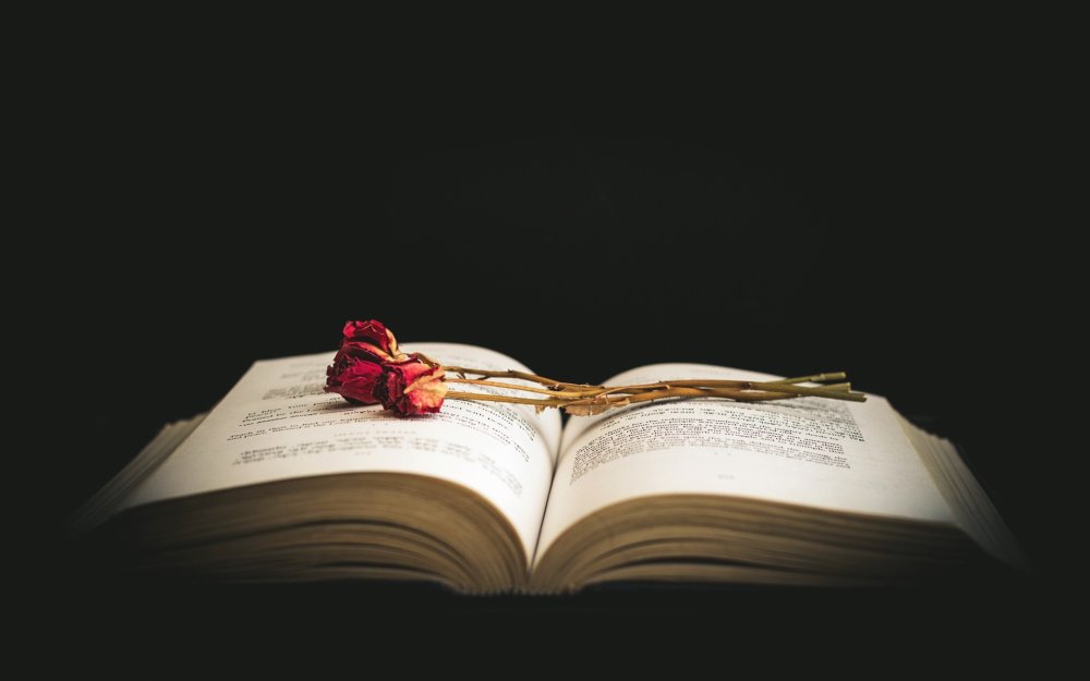 Книги про кошек