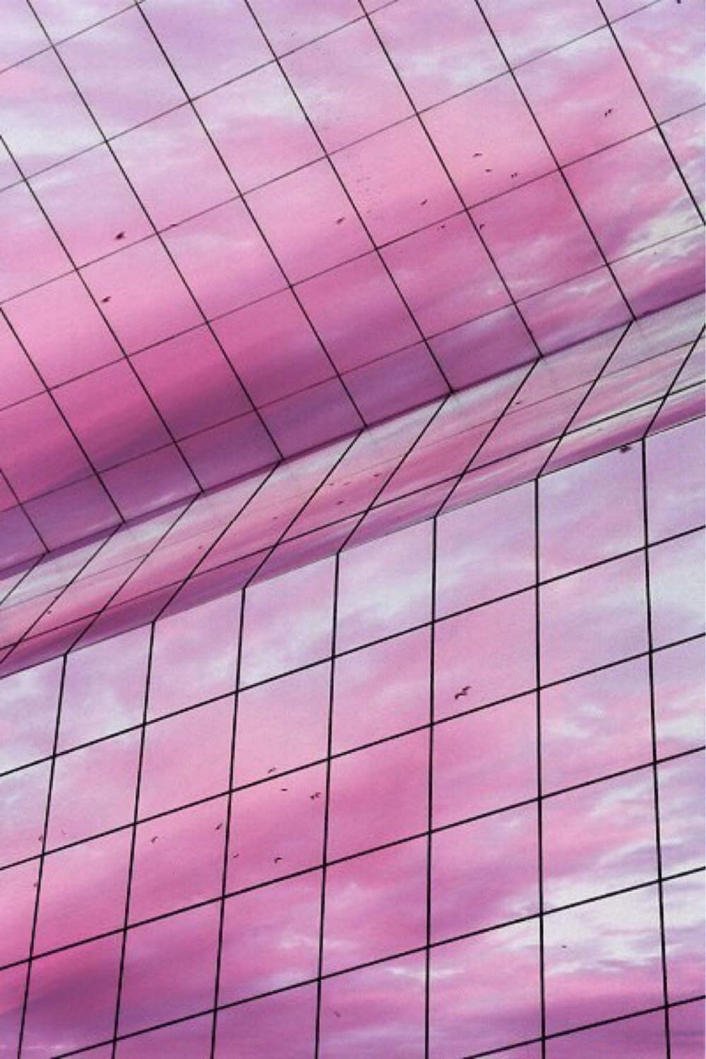 Розовая клетка
