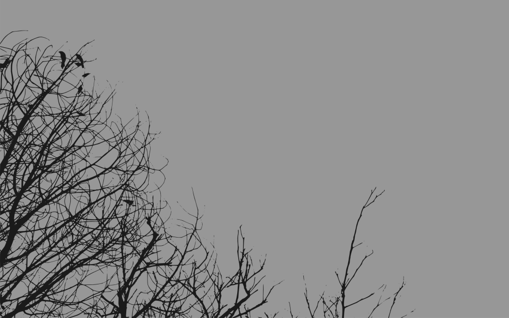Фон серое дерево