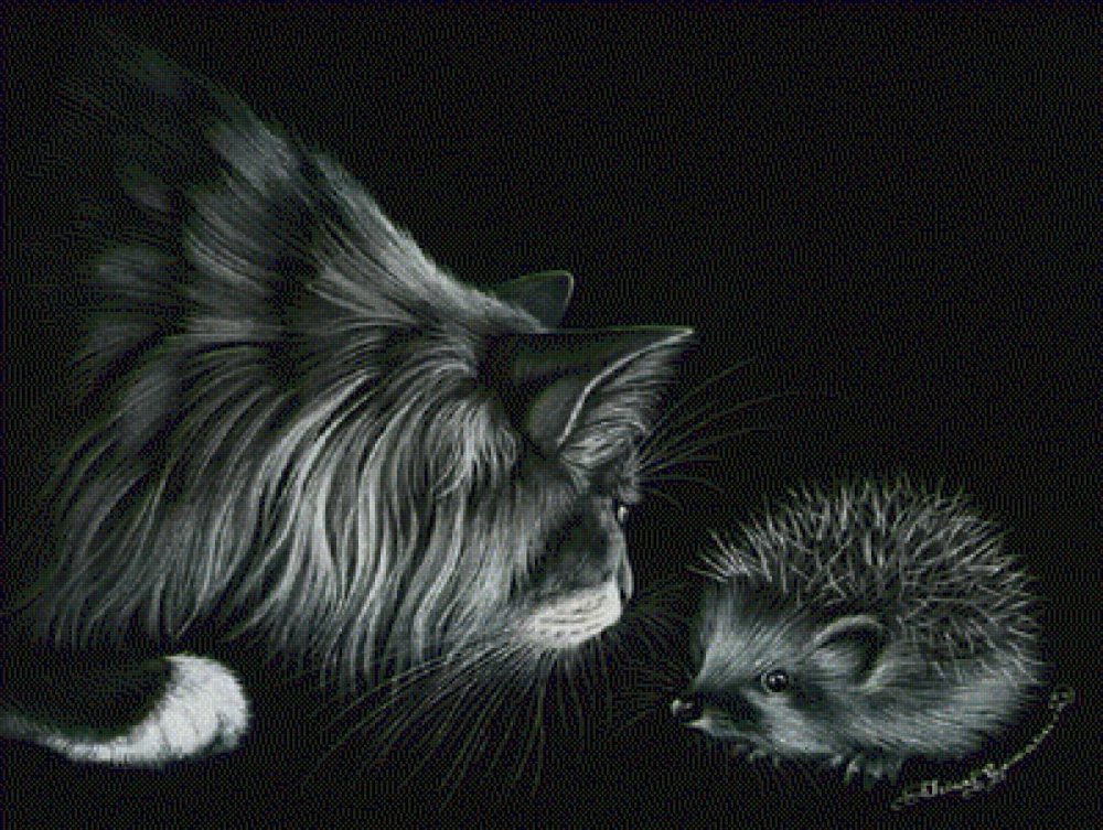 Кот черно белый рисунок