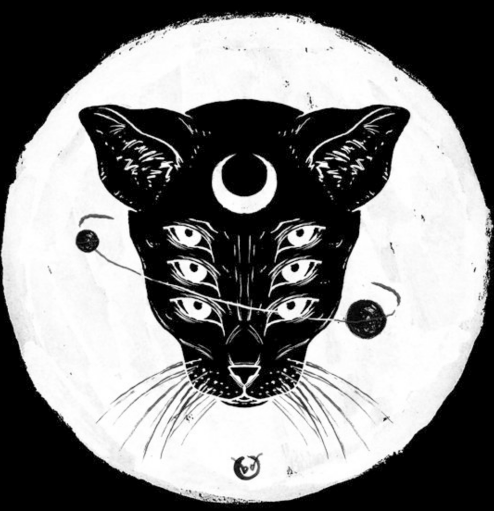 Тату черный кот эскизы
