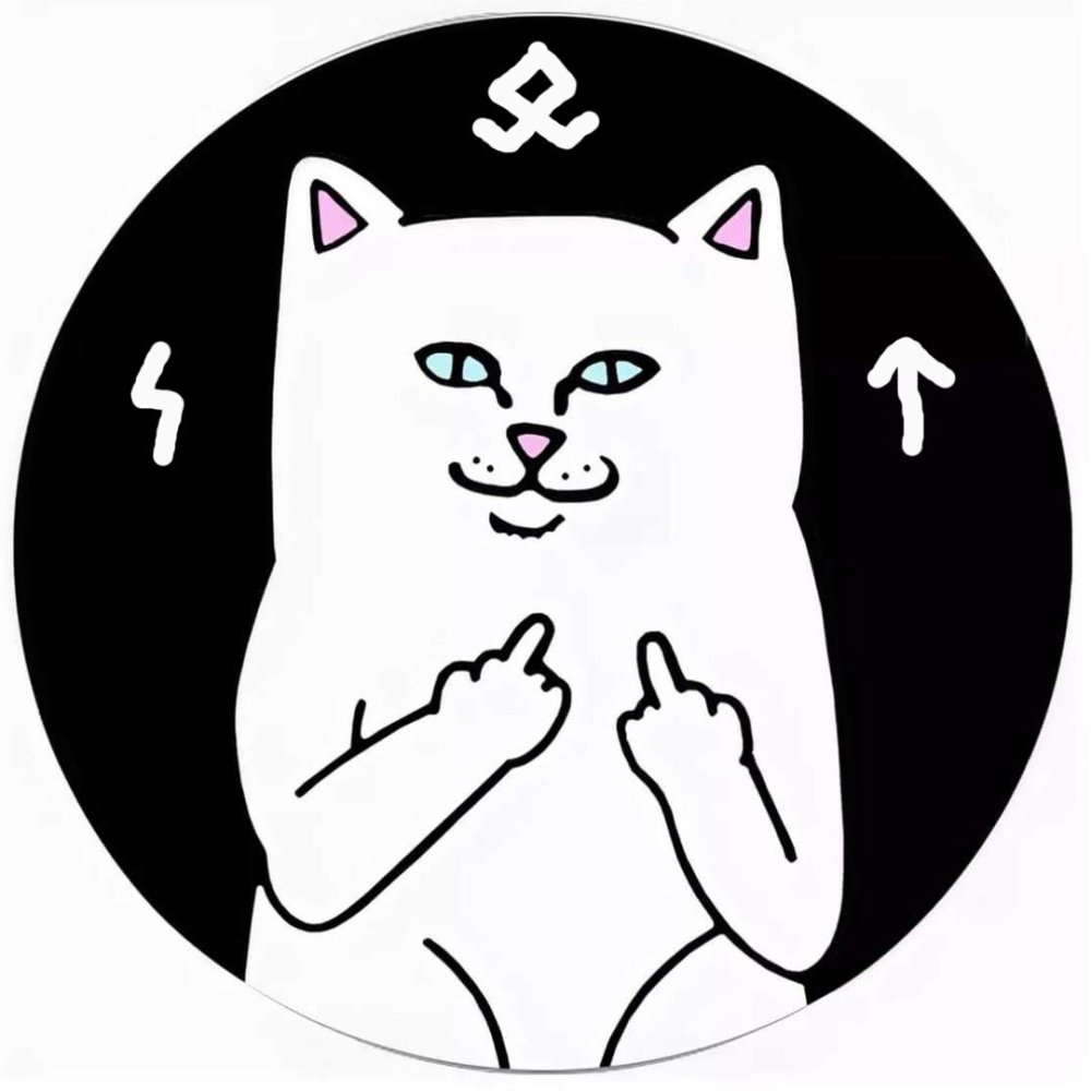 Кот выглядывает