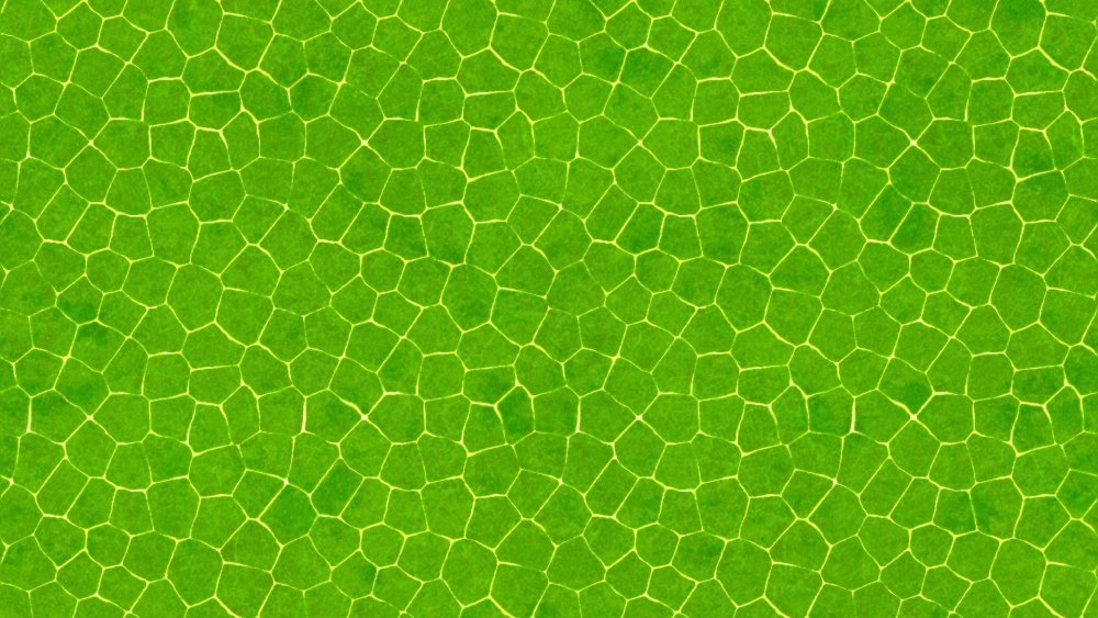 Фон текстура