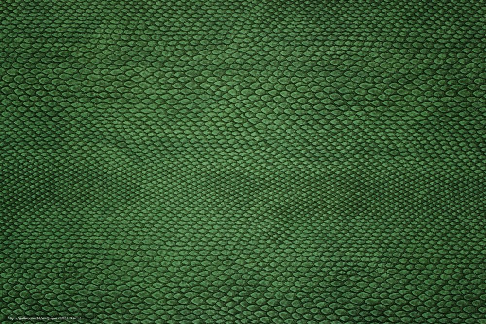 Змеиная кожа зеленая