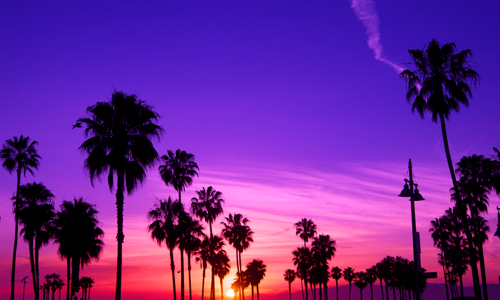 Фиолетовый закат