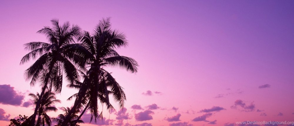 Неоновые пальмы