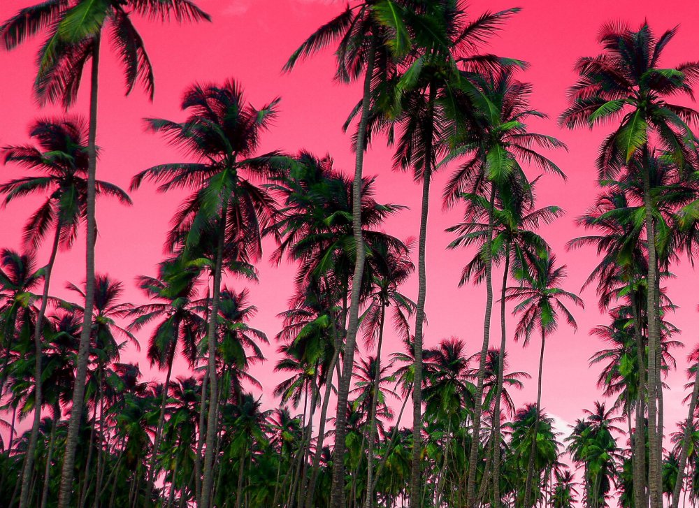 Вапорвейв и ретровейв