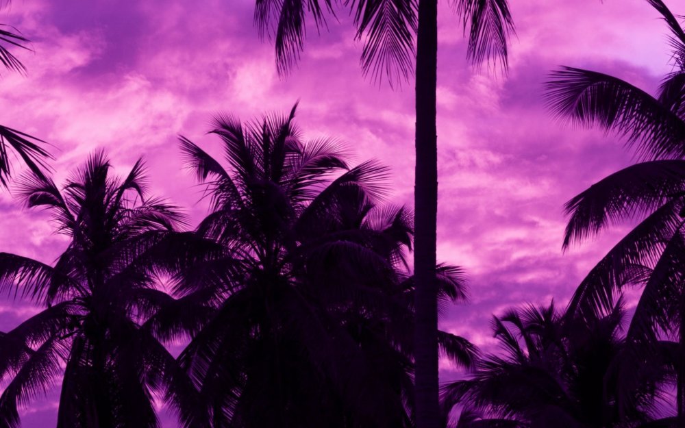 Пальмы океан Минимализм небо