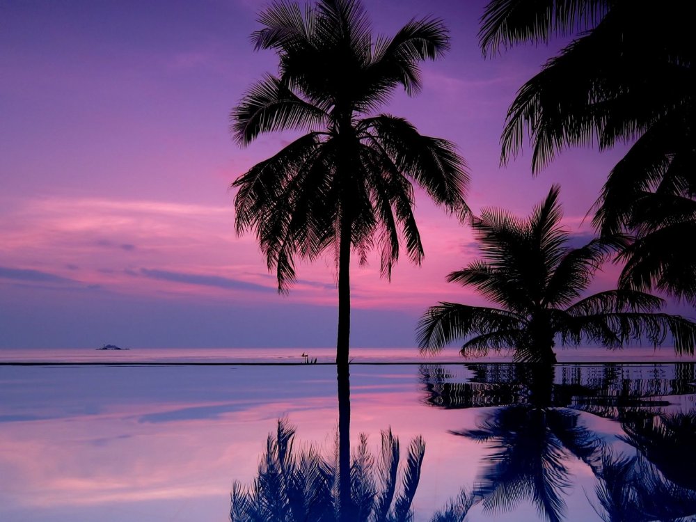 Ocean Drive Miami Nights 1984