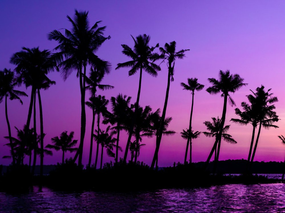 Хотлайн Майами пальмы 1920