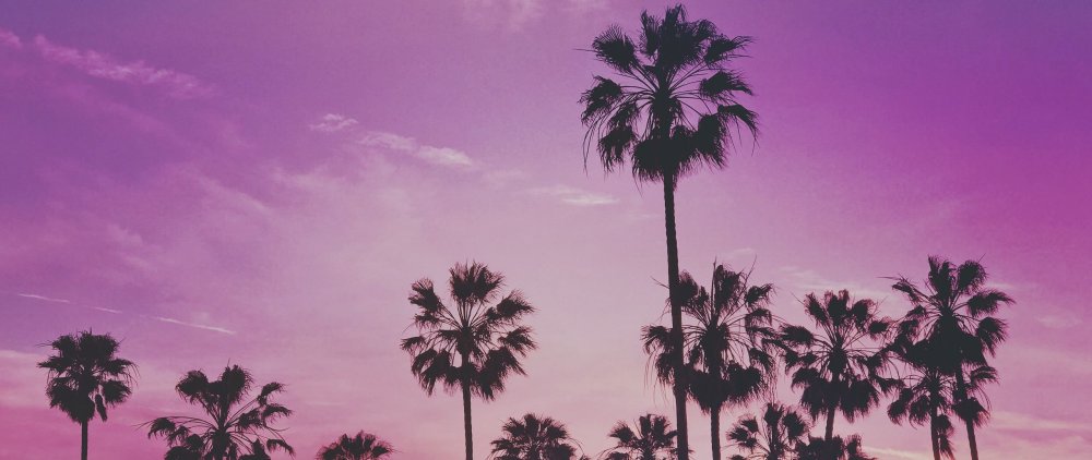 Пальмы на закате