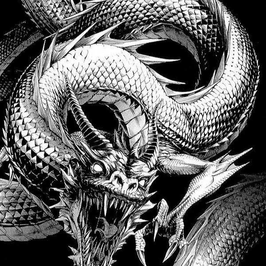 Талисман дракон на заставку