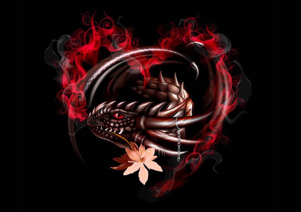 Белый дракон на черном фоне