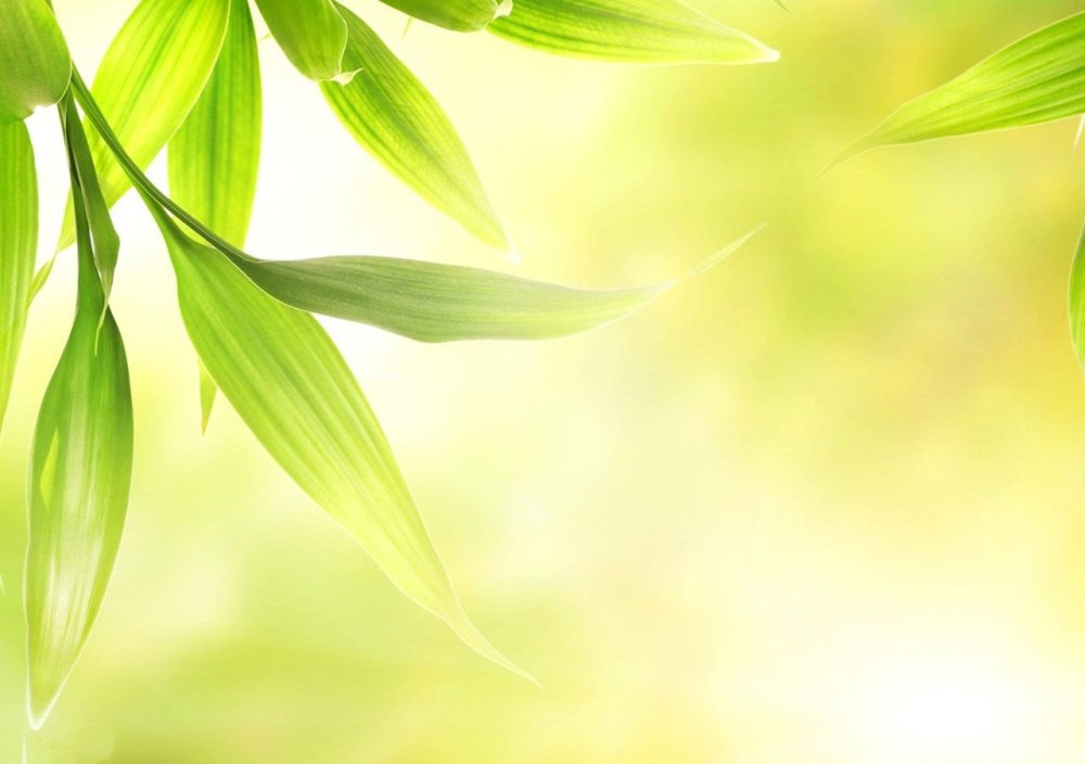 Визитка зелень