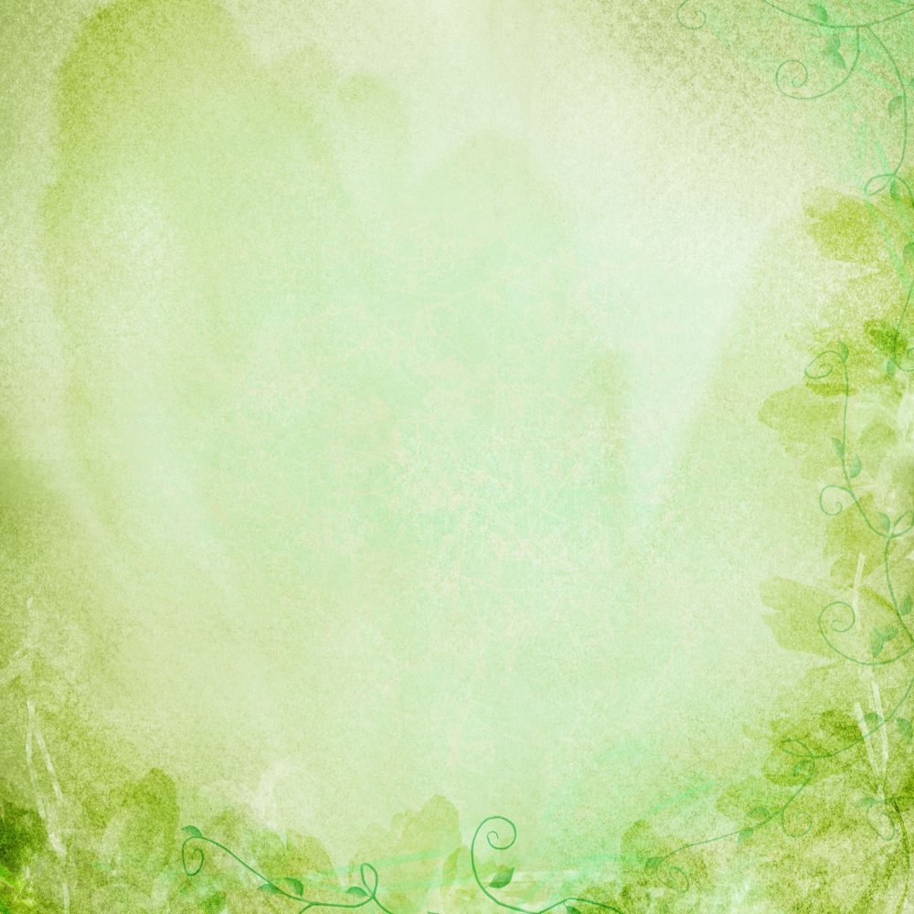 Светло салатовый фон