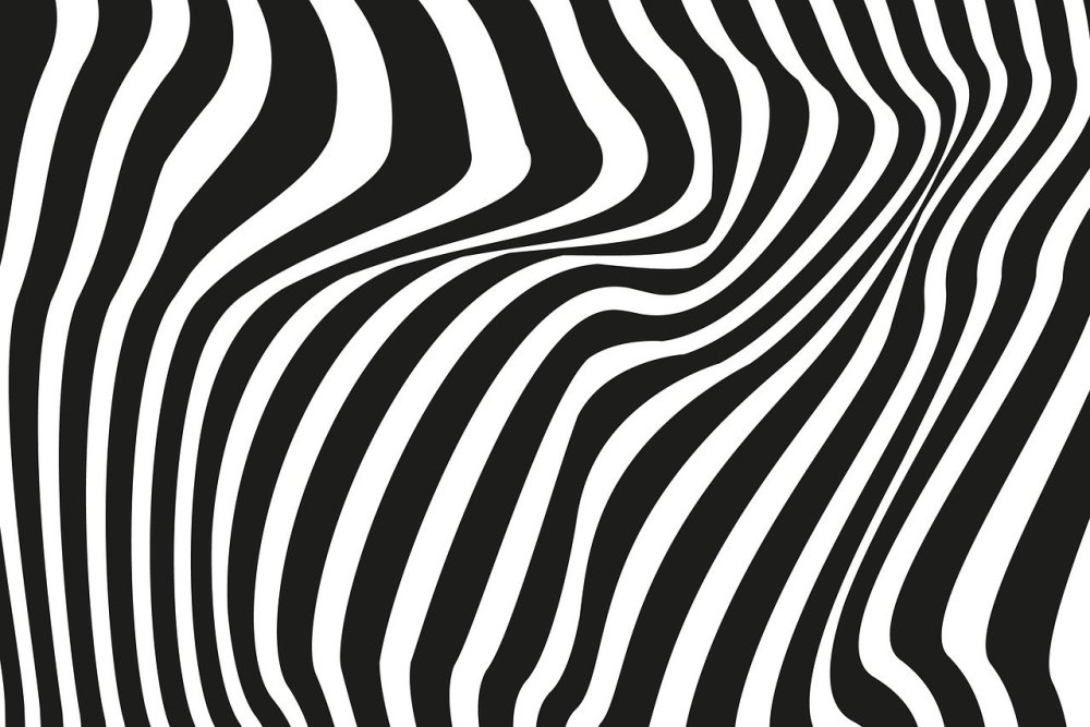 The great Wave off Kanagawa черно белое