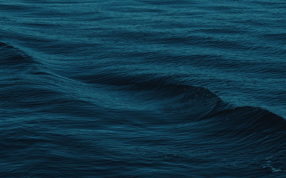 Полосы черно белая волна