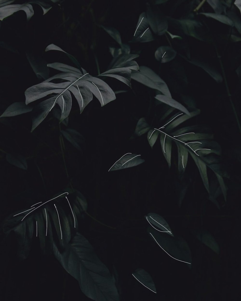 Тёмный эстетичный фон