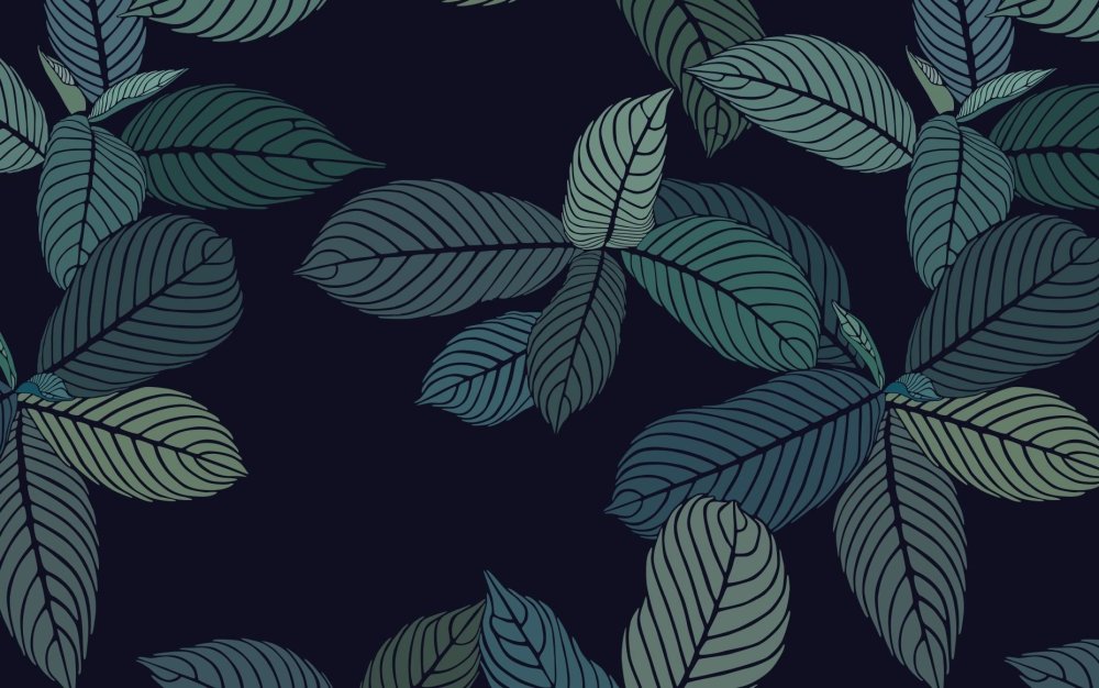 Обои из пинтереста черные