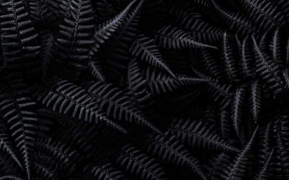 Черный фон на рабочий стол