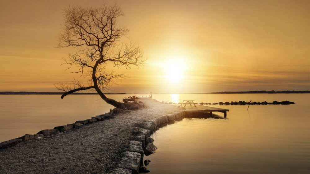 Спокойствие природа