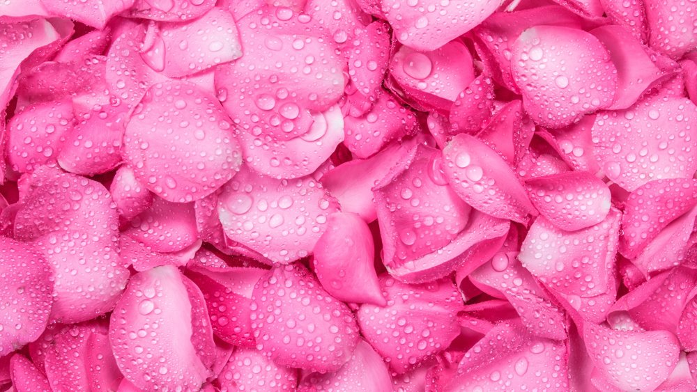 Розовый фон