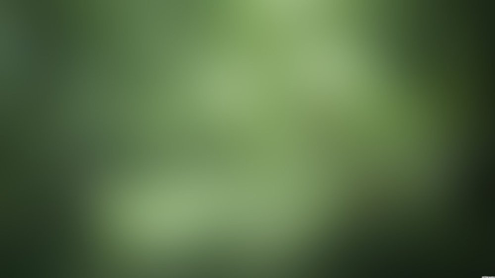 Оливковый градиент